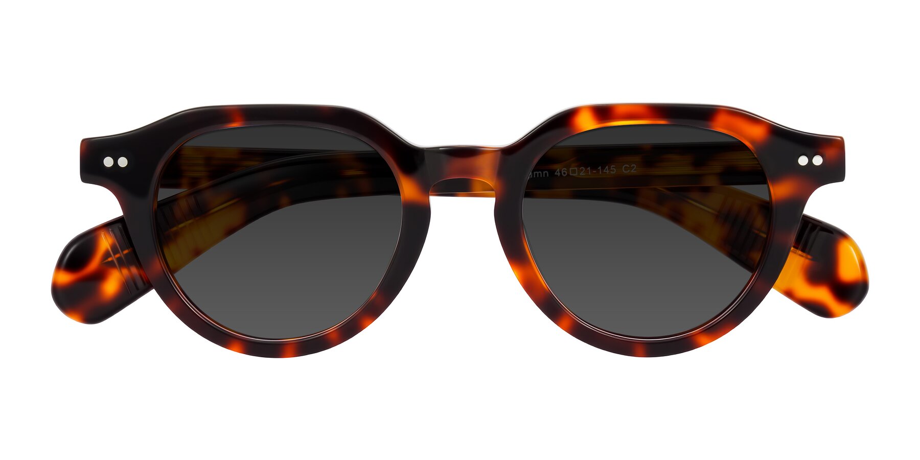 Folded Front of Rohamn in Tortoise with Gray Tinted Lenses
