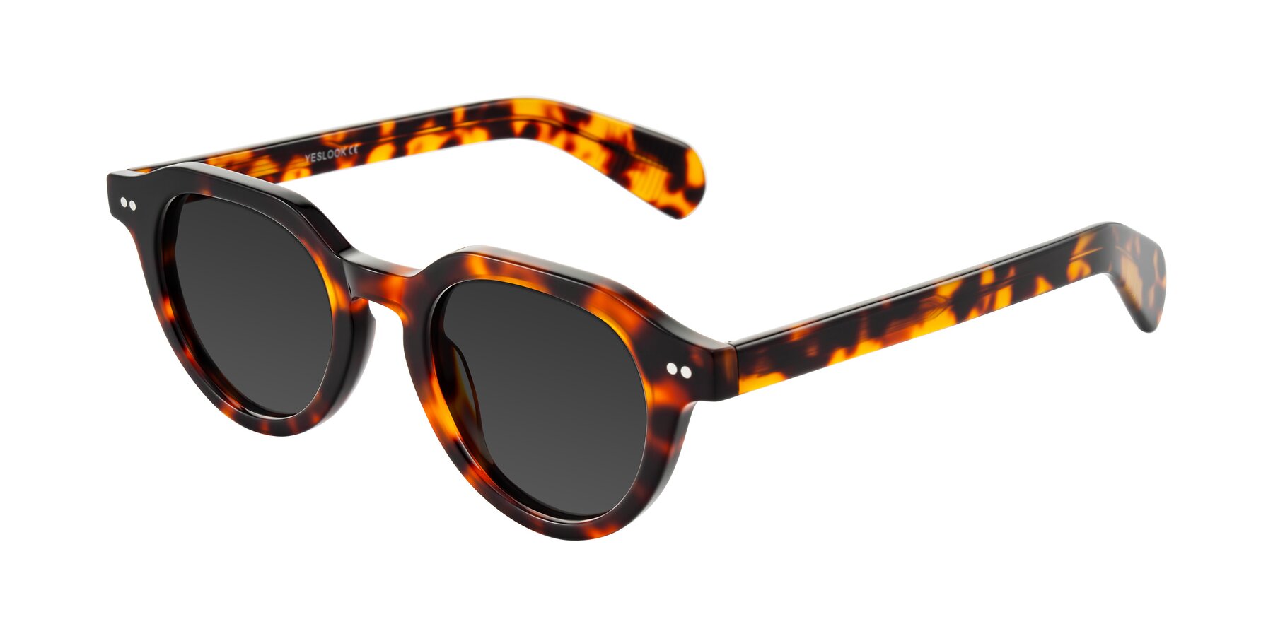 Angle of Rohamn in Tortoise with Gray Tinted Lenses