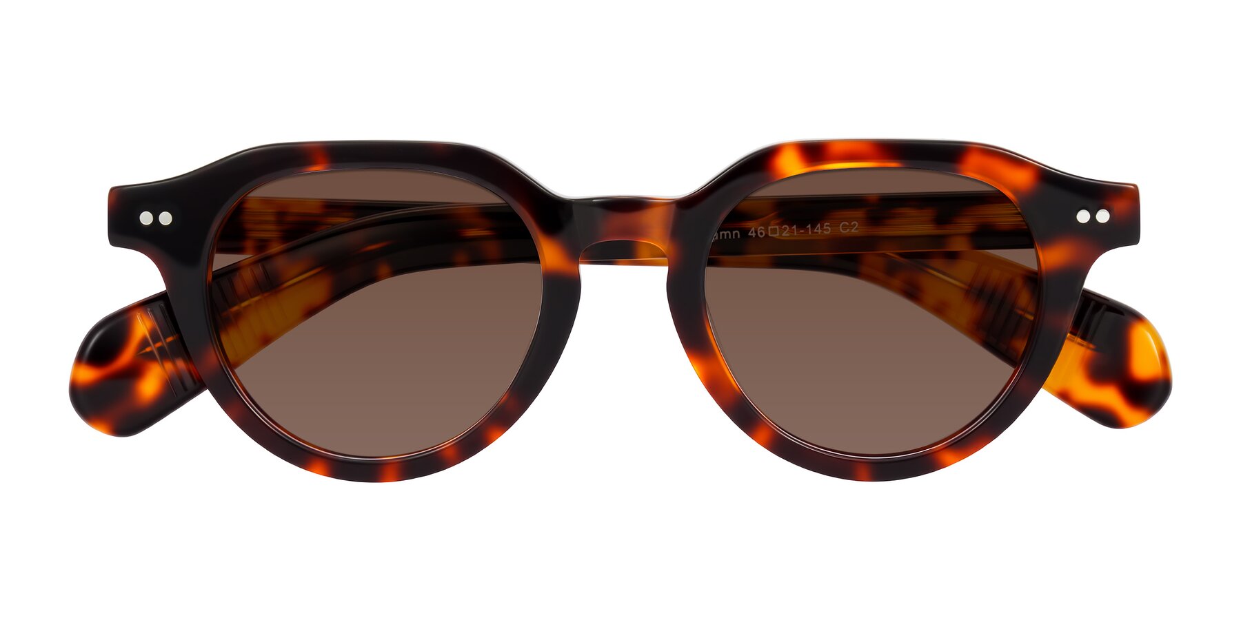 Folded Front of Rohamn in Tortoise with Brown Tinted Lenses