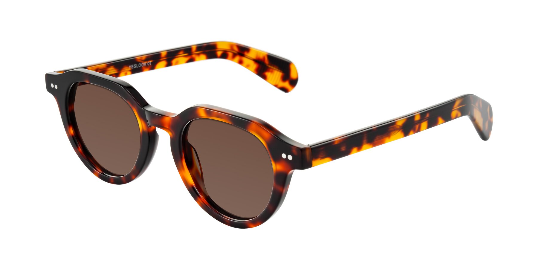 Angle of Rohamn in Tortoise with Brown Tinted Lenses