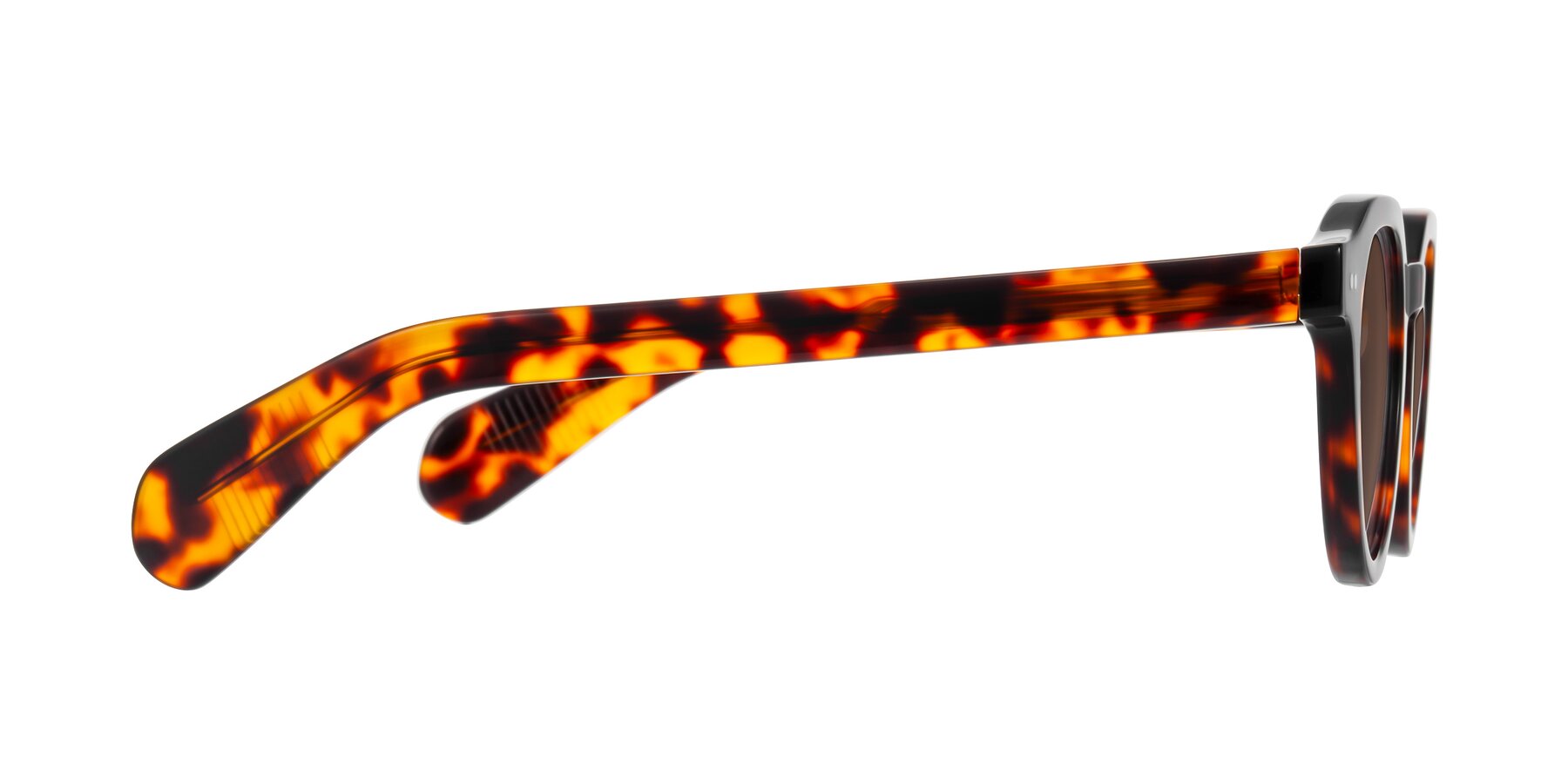 Side of Rohamn in Tortoise with Brown Tinted Lenses