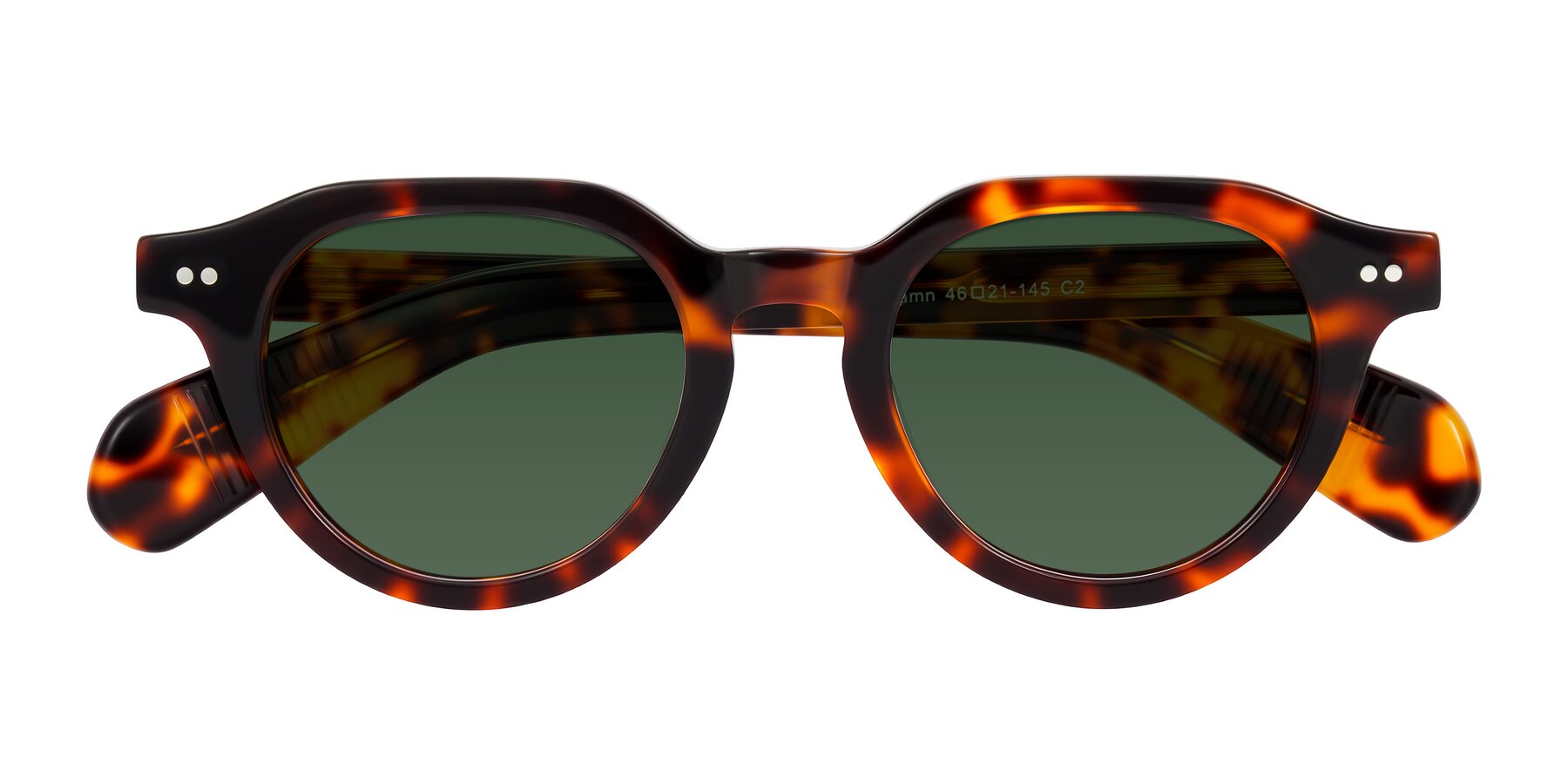 Folded Front of Rohamn in Tortoise with Green Tinted Lenses