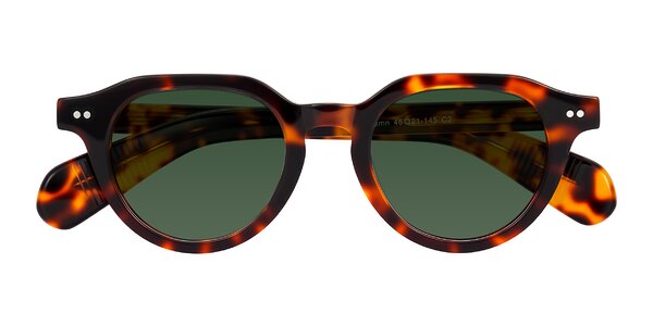 Front of Rohamn in Tortoise