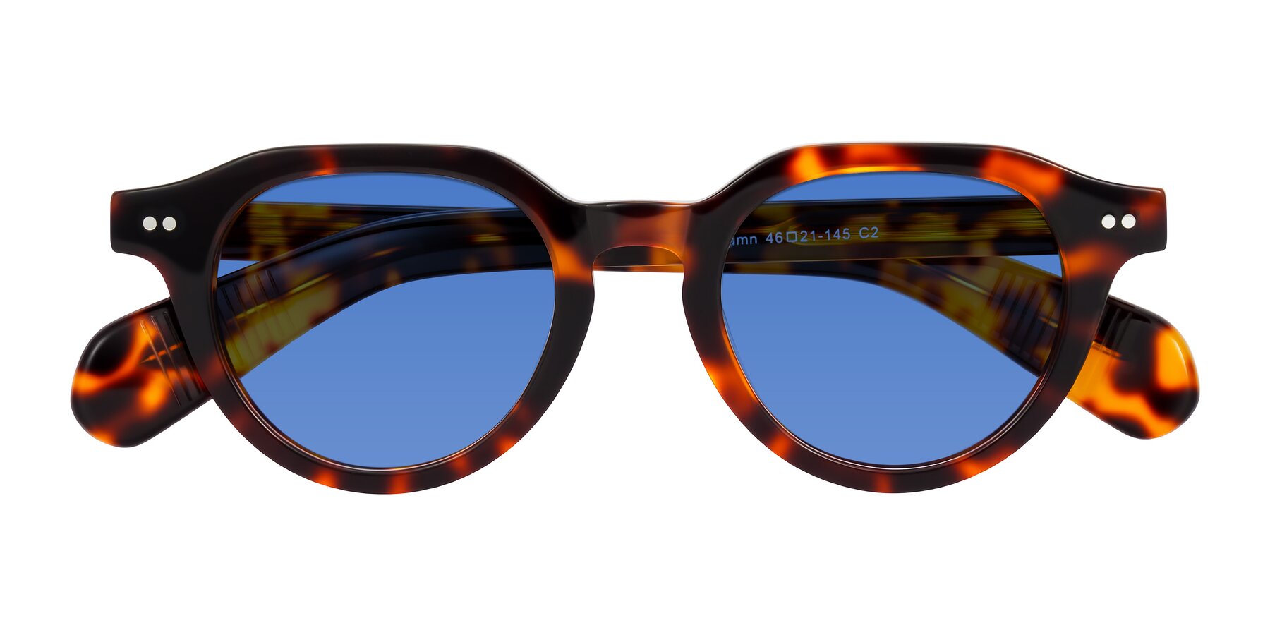 Folded Front of Rohamn in Tortoise with Blue Tinted Lenses