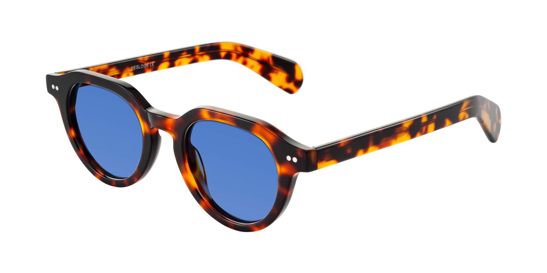 Angle of Rohamn in Tortoise with Blue Tinted Lenses