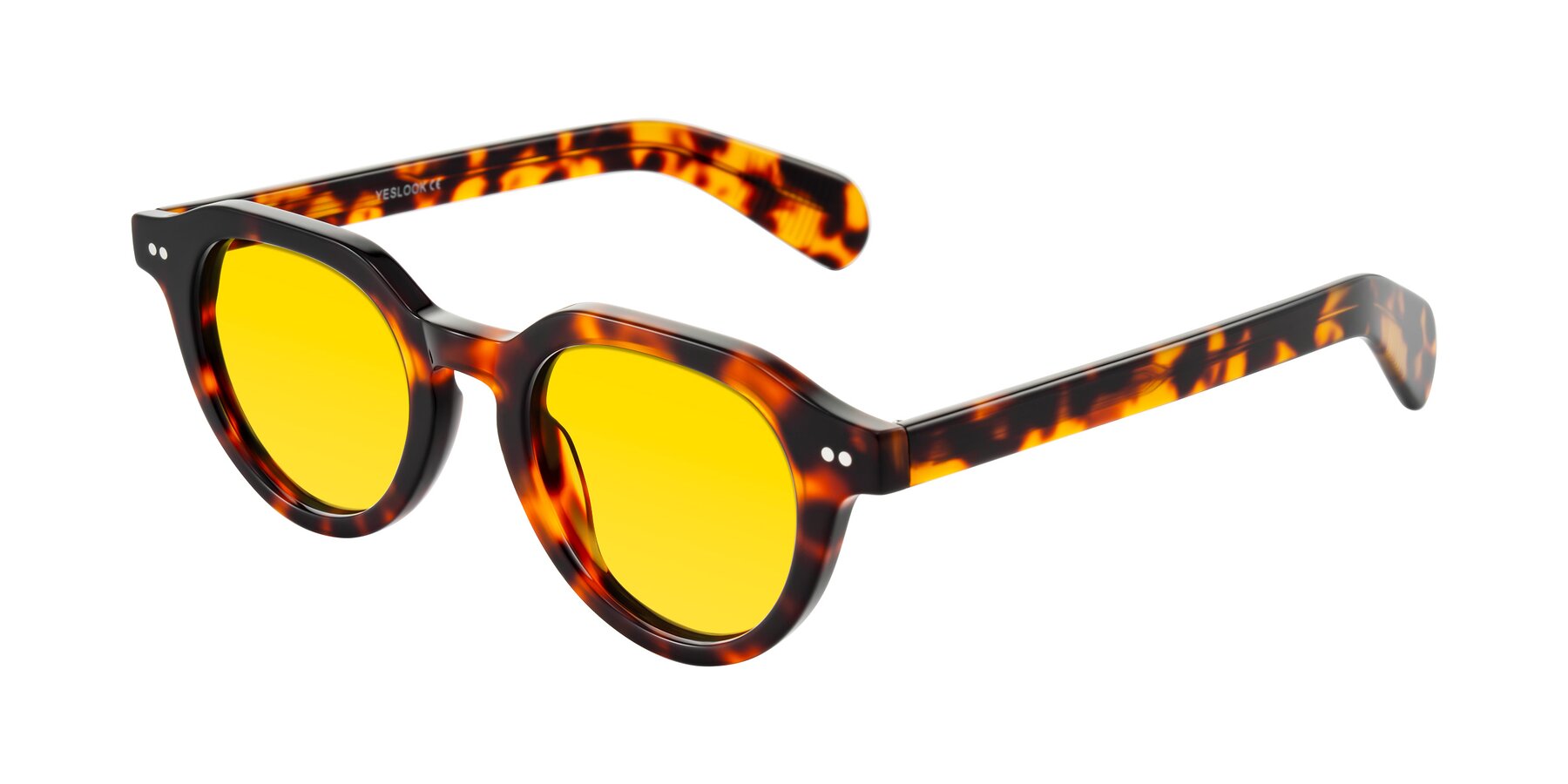 Angle of Rohamn in Tortoise with Yellow Tinted Lenses