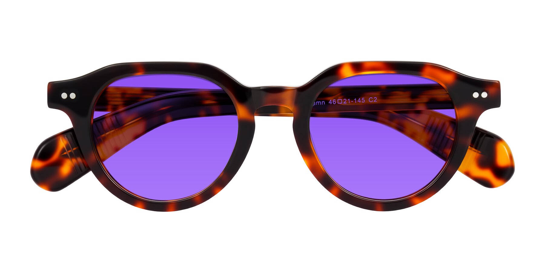 Folded Front of Rohamn in Tortoise with Purple Tinted Lenses