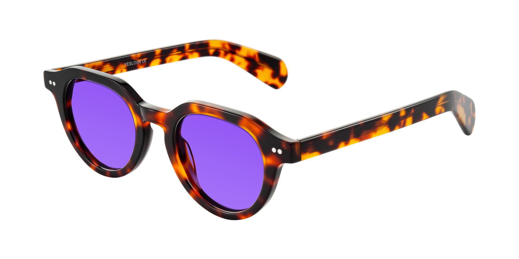 Angle of Rohamn in Tortoise with Purple Tinted Lenses