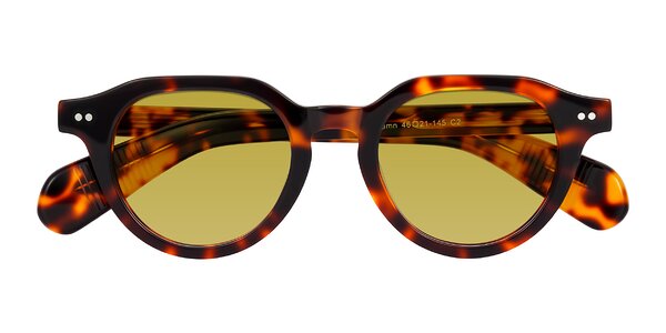 Front of Rohamn in Tortoise