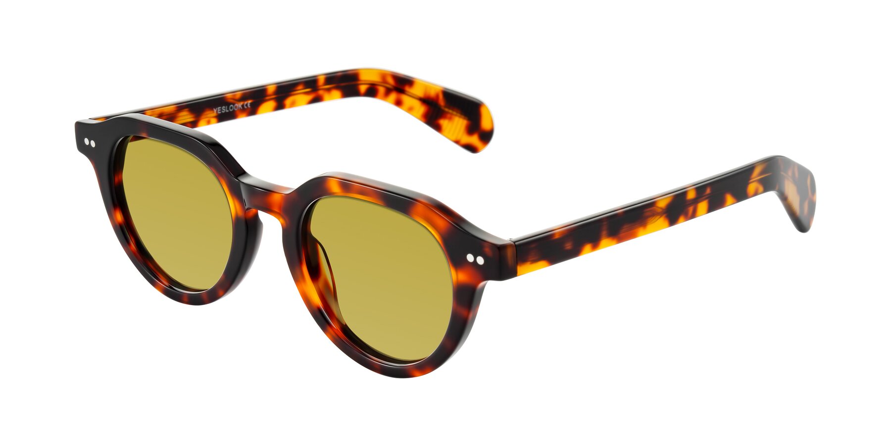 Angle of Rohamn in Tortoise with Champagne Tinted Lenses