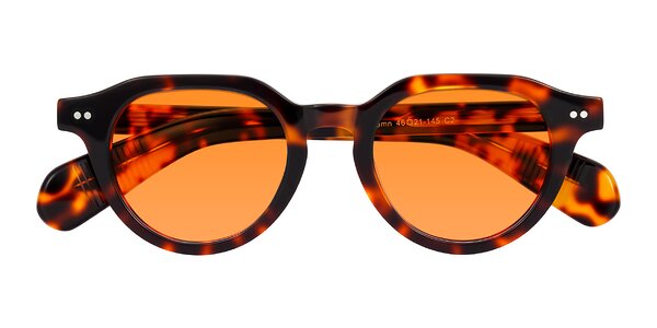 Front of Rohamn in Tortoise
