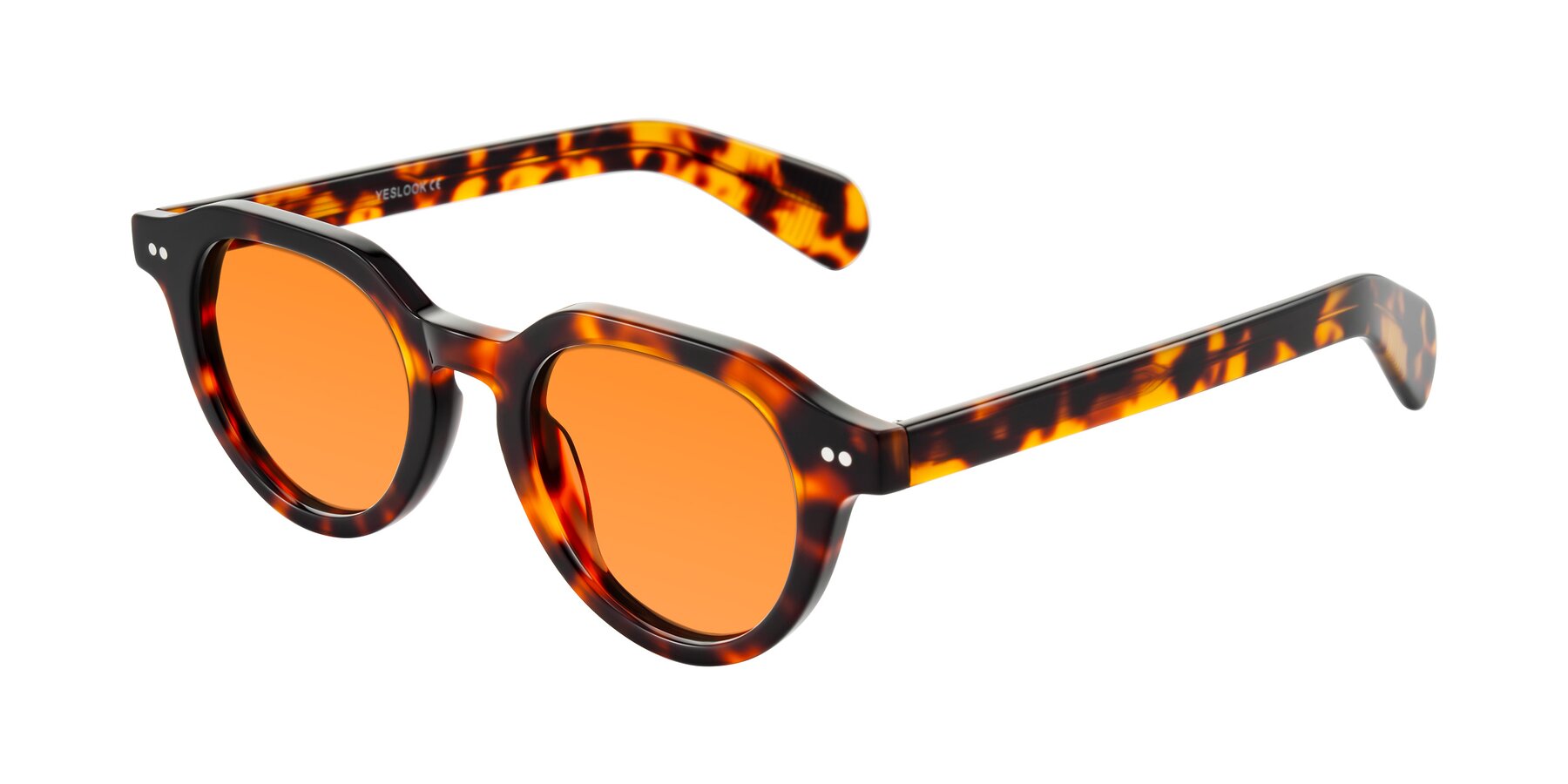 Angle of Rohamn in Tortoise with Orange Tinted Lenses