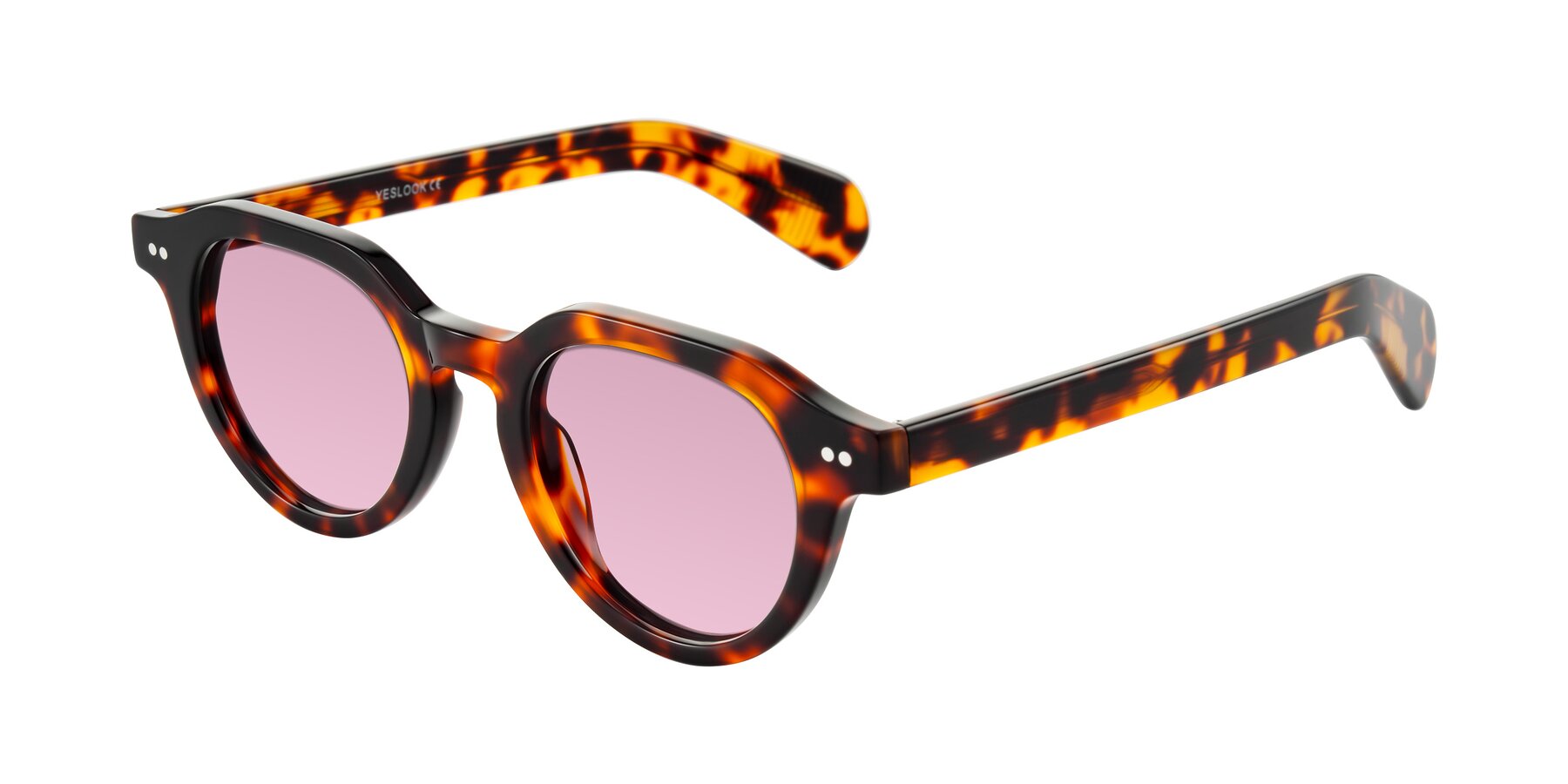 Angle of Rohamn in Tortoise with Light Wine Tinted Lenses
