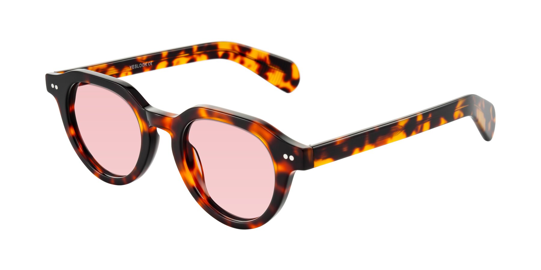 Angle of Rohamn in Tortoise with Light Garnet Tinted Lenses