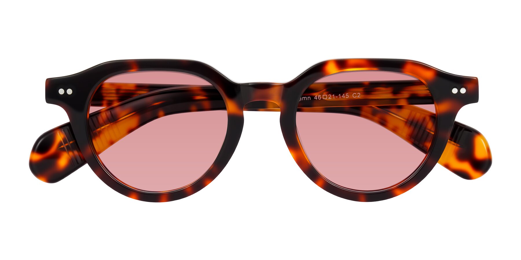 Folded Front of Rohamn in Tortoise with Medium Garnet Tinted Lenses