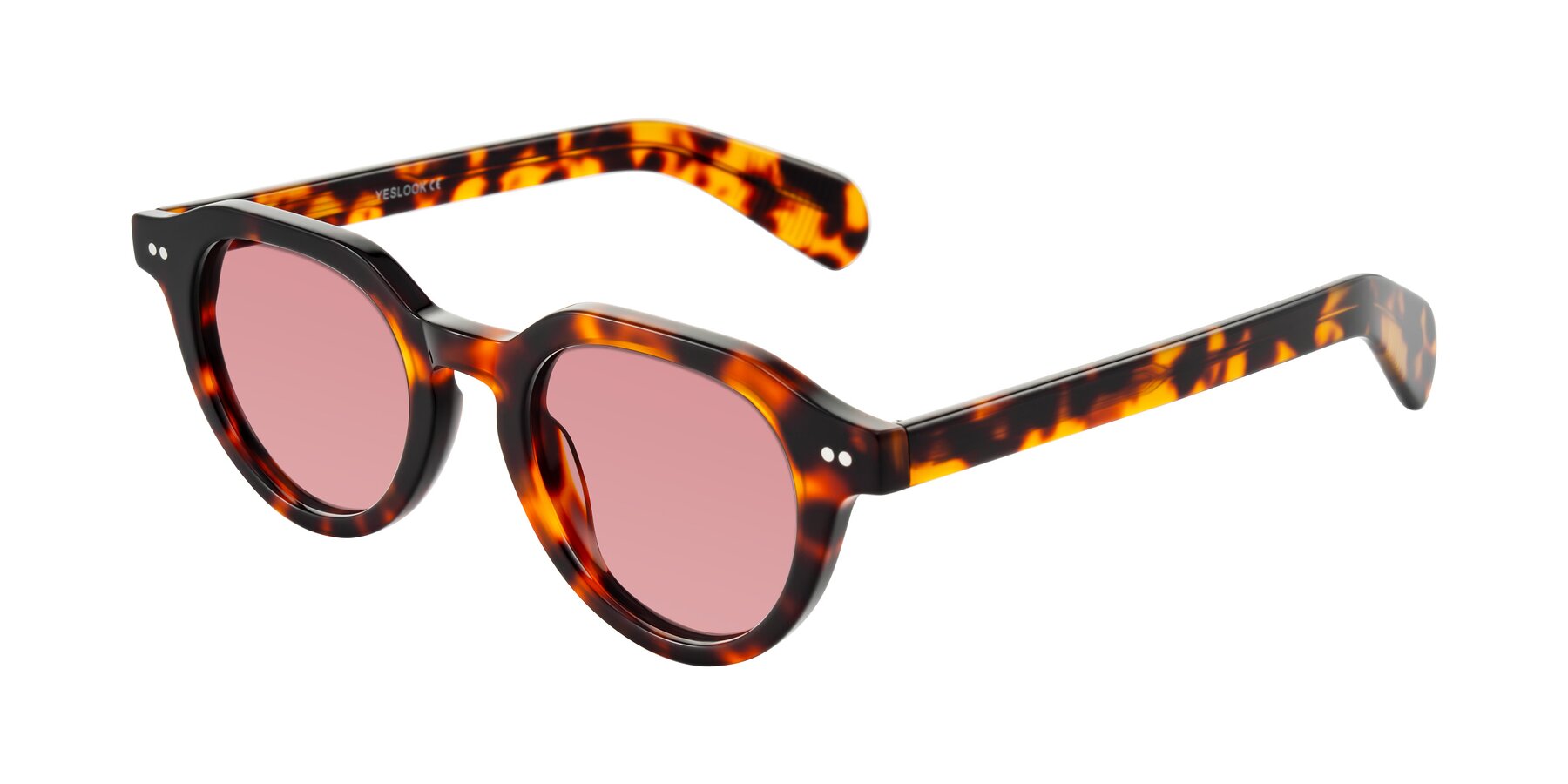 Angle of Rohamn in Tortoise with Medium Garnet Tinted Lenses