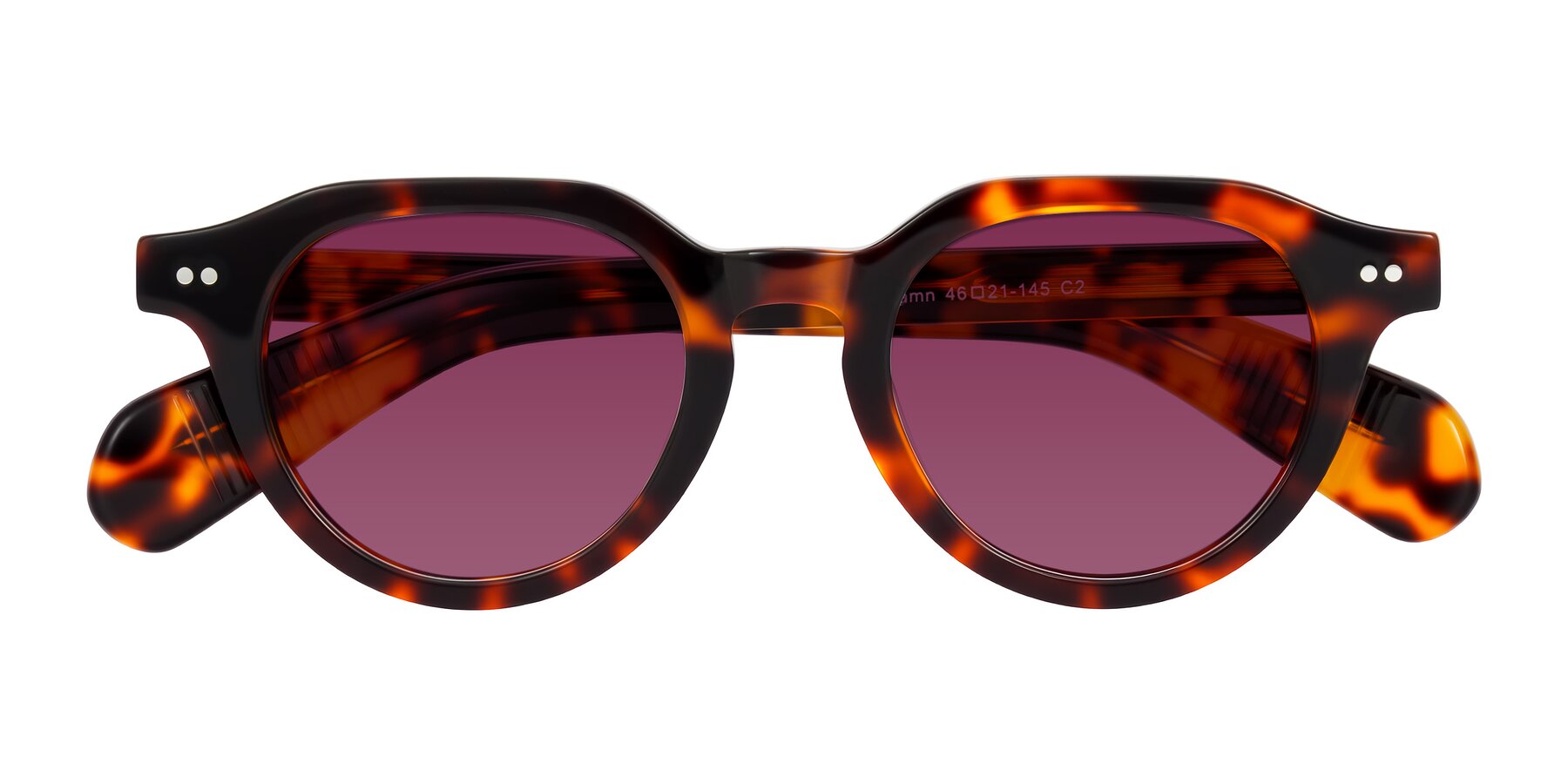 Folded Front of Rohamn in Tortoise with Wine Tinted Lenses