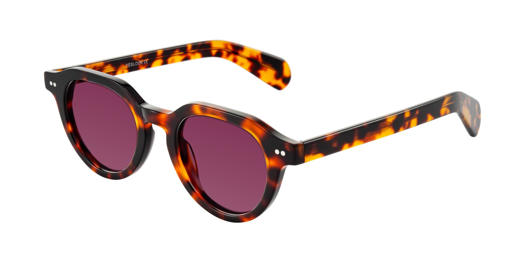 Angle of Rohamn in Tortoise with Wine Tinted Lenses