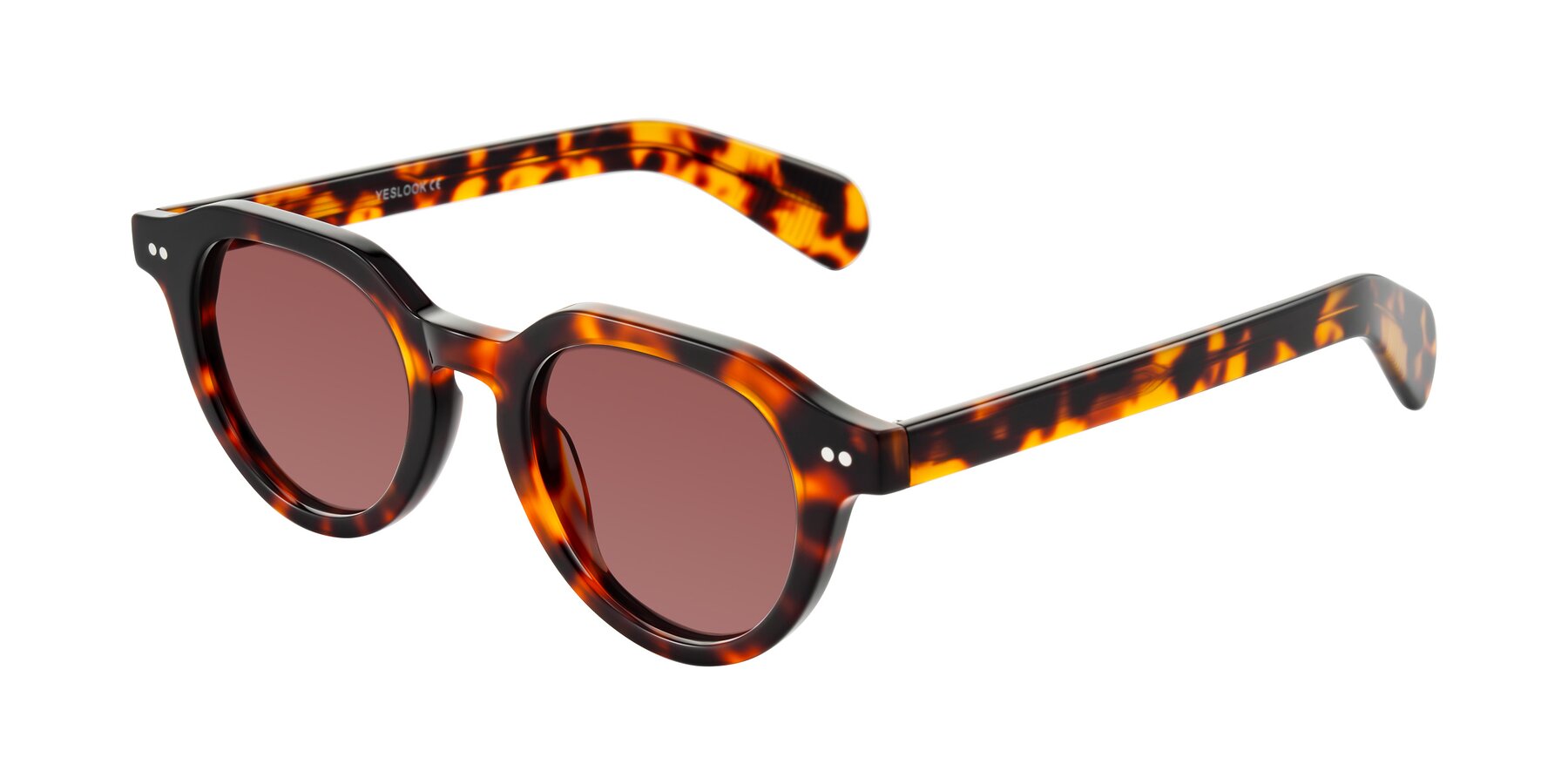 Angle of Rohamn in Tortoise with Garnet Tinted Lenses