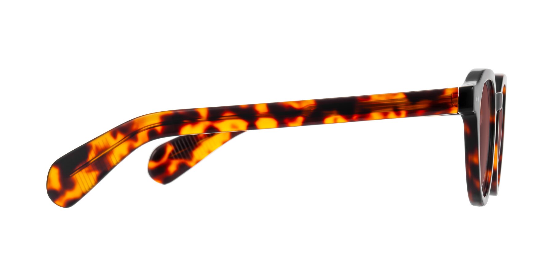 Side of Rohamn in Tortoise with Garnet Tinted Lenses