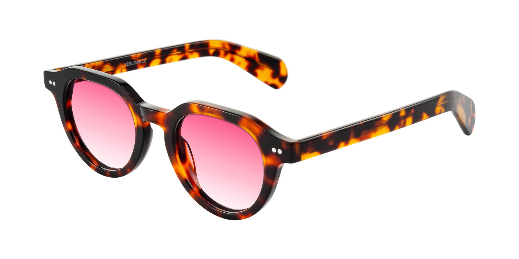 Angle of Rohamn in Tortoise with Pink Gradient Lenses