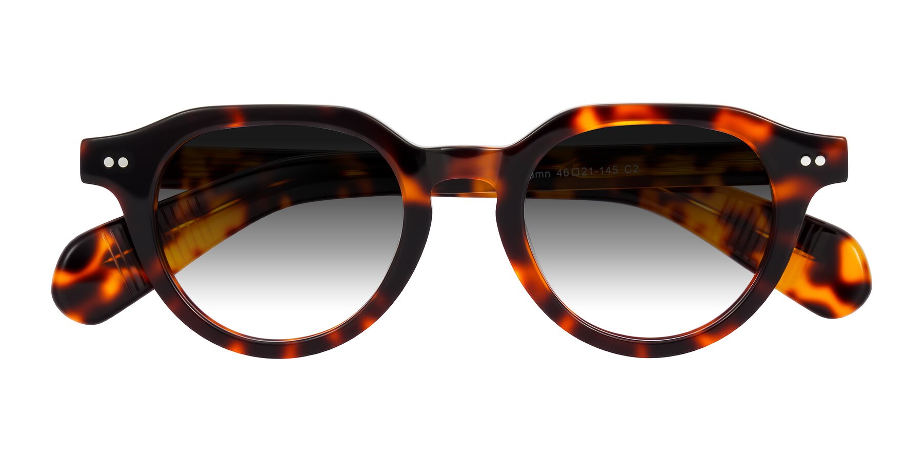 Folded Front of Rohamn in Tortoise with Gray Gradient Lenses