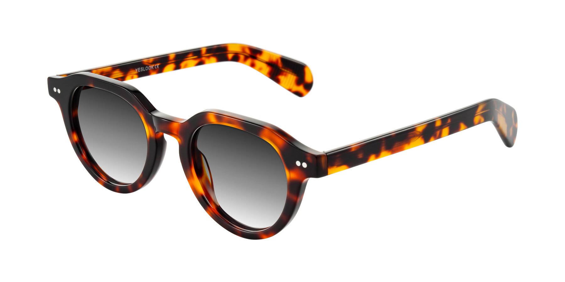 Angle of Rohamn in Tortoise with Gray Gradient Lenses