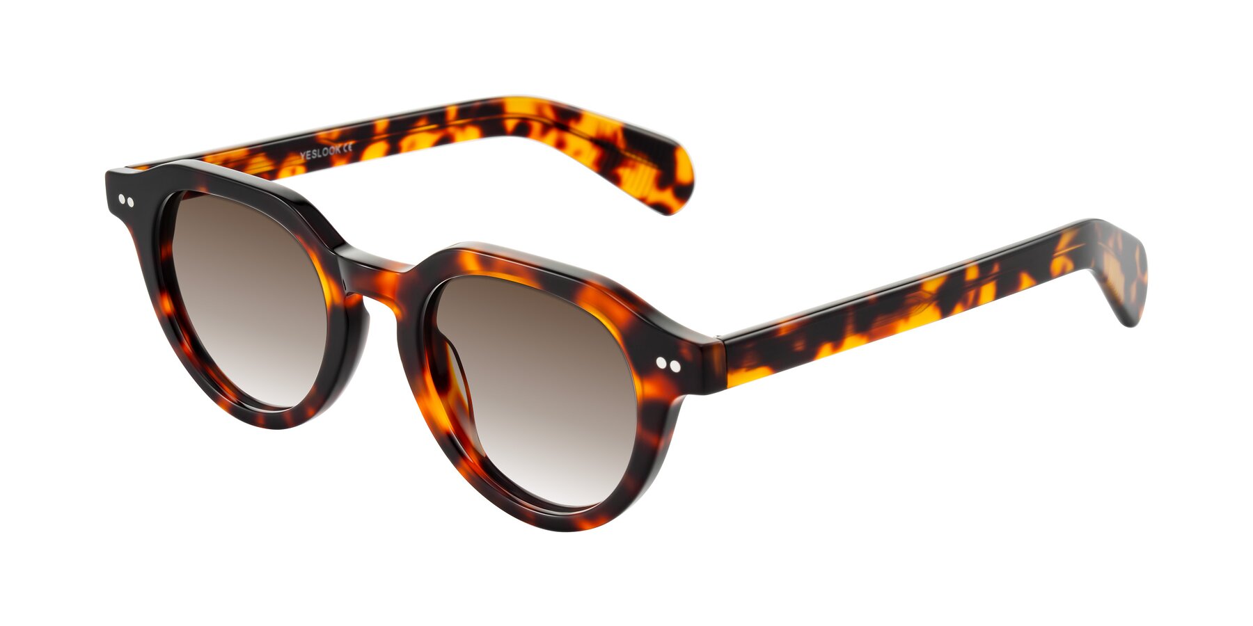 Angle of Rohamn in Tortoise with Brown Gradient Lenses