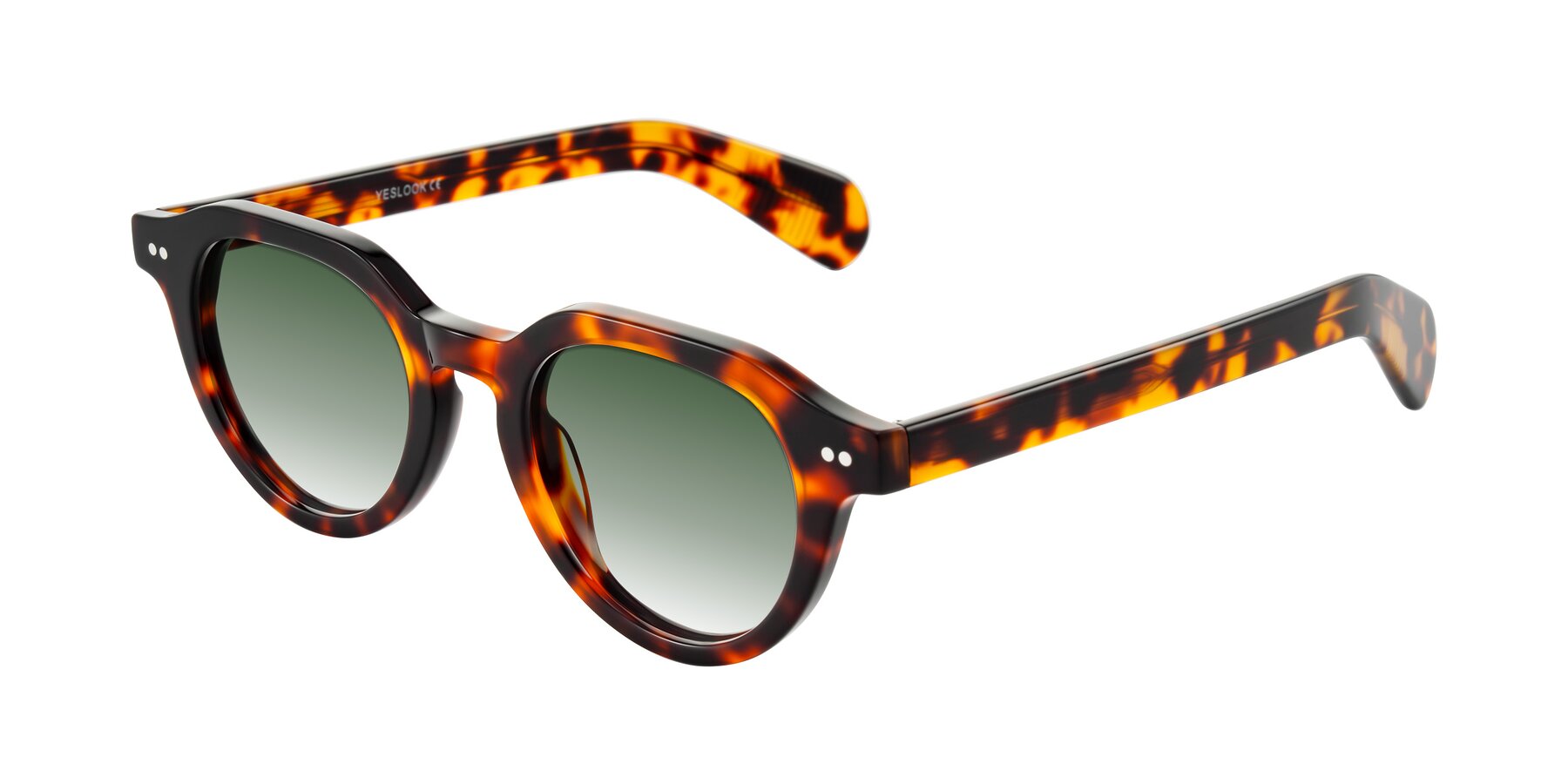 Angle of Rohamn in Tortoise with Green Gradient Lenses