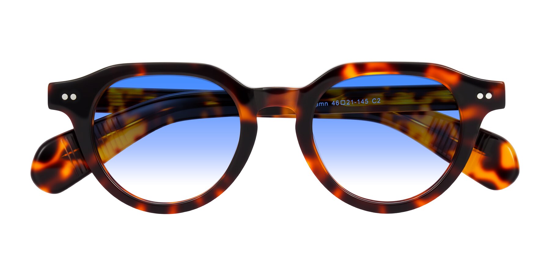 Folded Front of Rohamn in Tortoise with Blue Gradient Lenses