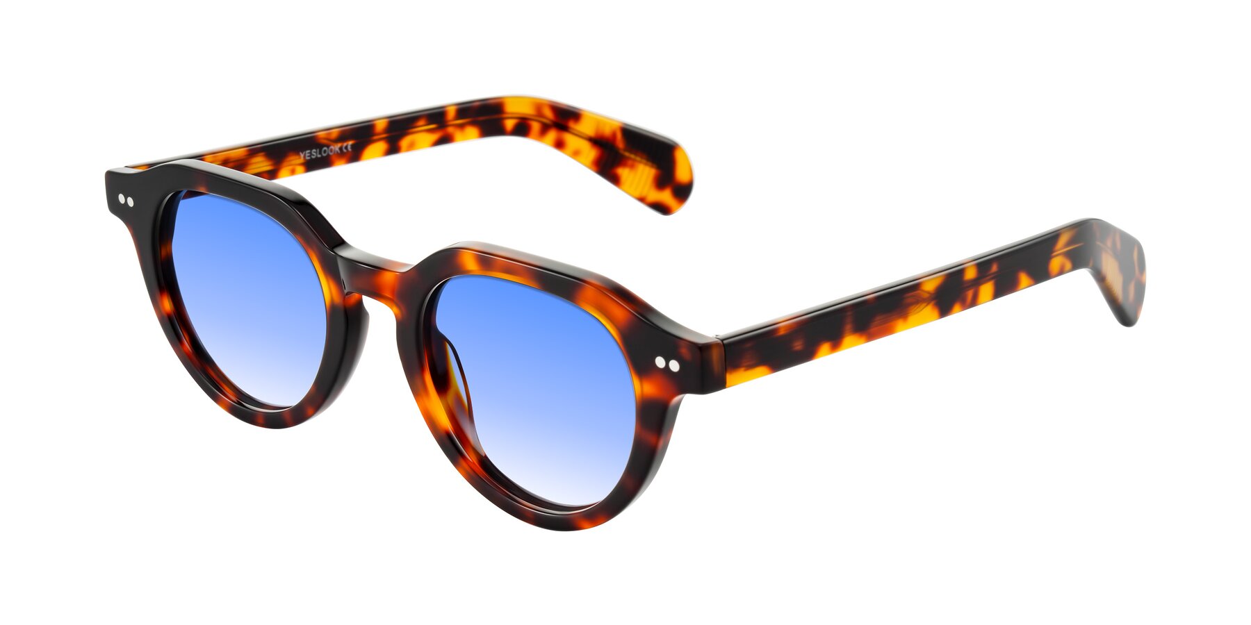 Angle of Rohamn in Tortoise with Blue Gradient Lenses
