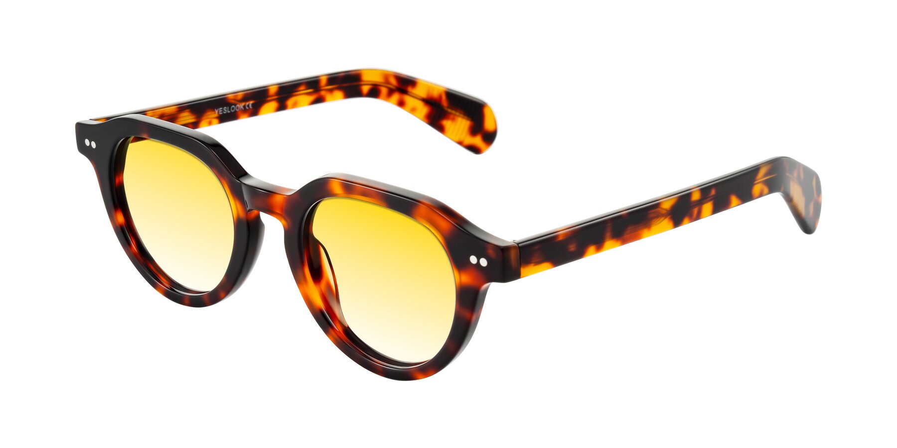 Angle of Rohamn in Tortoise with Yellow Gradient Lenses