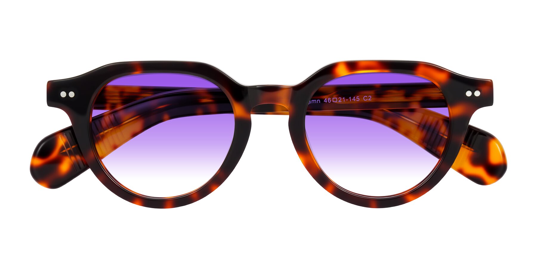 Folded Front of Rohamn in Tortoise with Purple Gradient Lenses