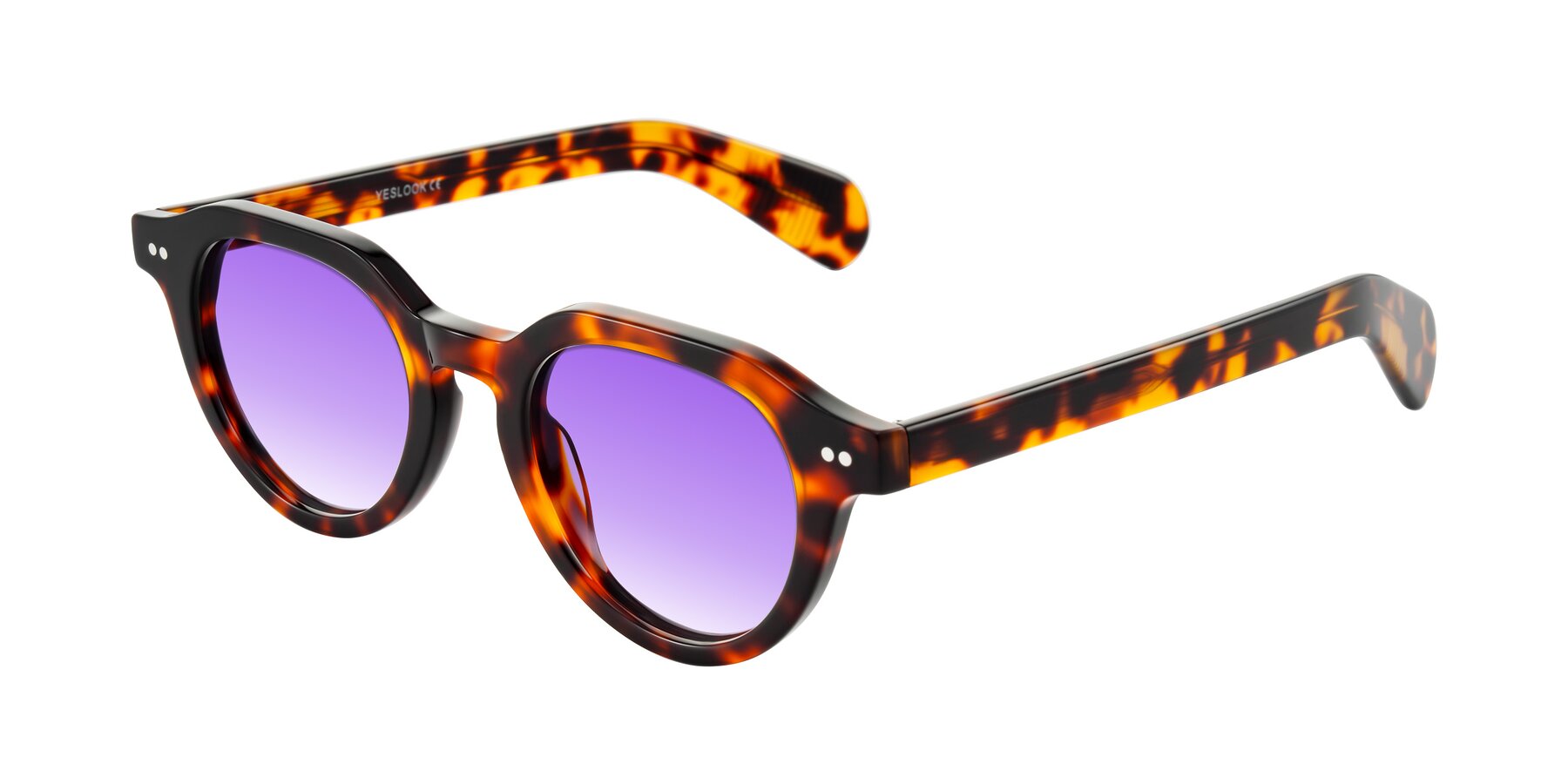 Angle of Rohamn in Tortoise with Purple Gradient Lenses