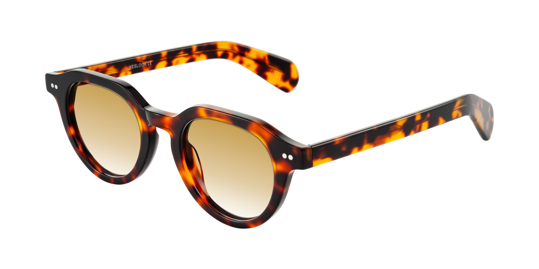 Angle of Rohamn in Tortoise with Champagne Gradient Lenses