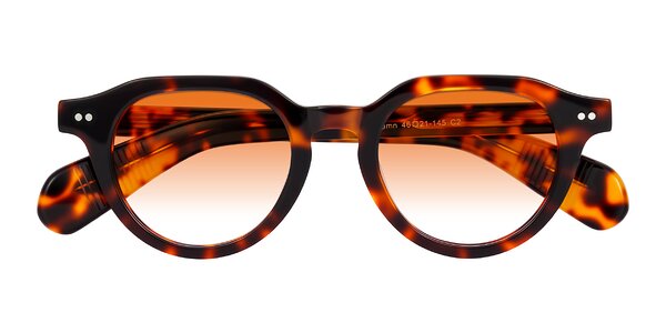 Front of Rohamn in Tortoise