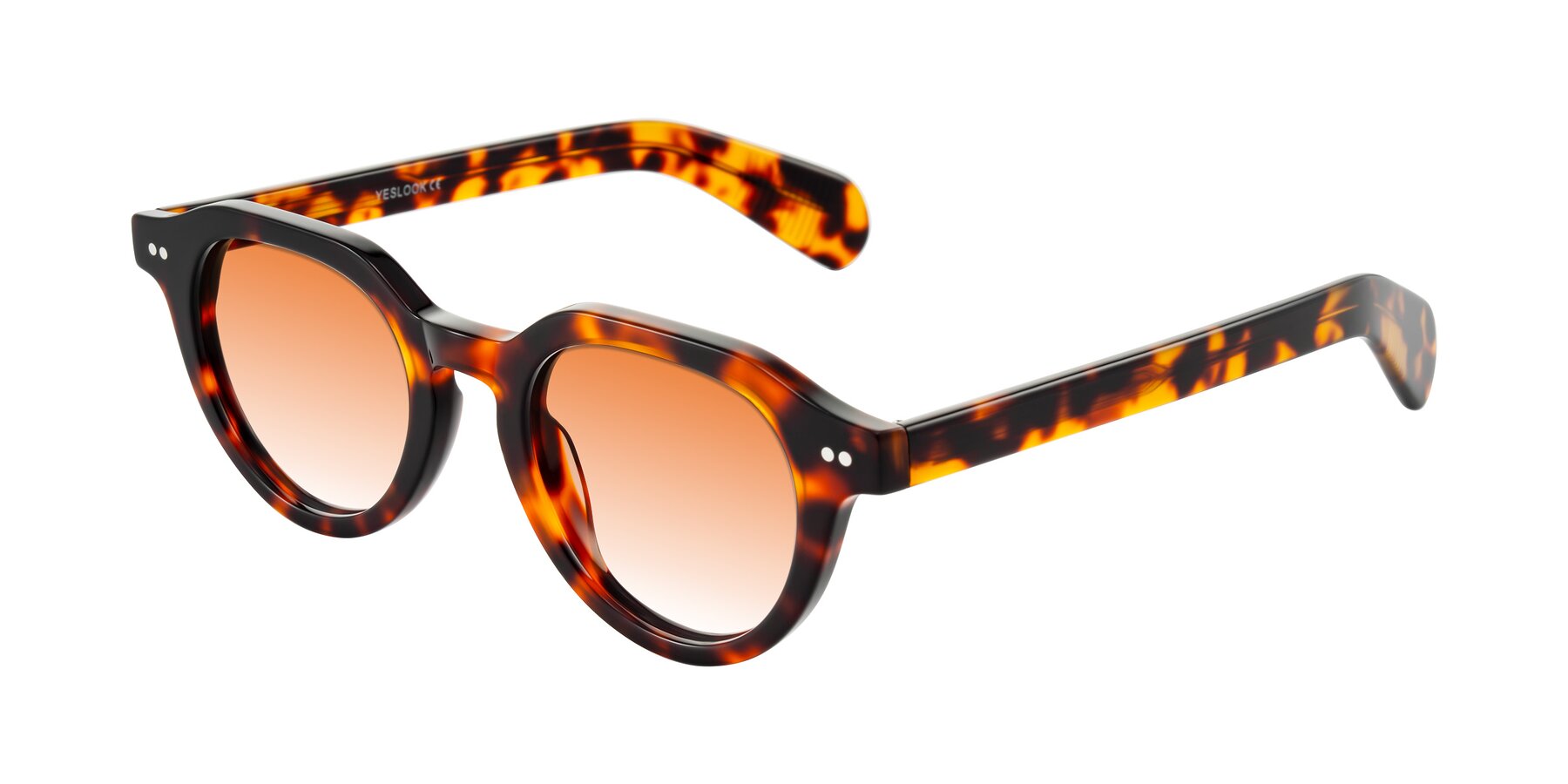 Angle of Rohamn in Tortoise with Orange Gradient Lenses