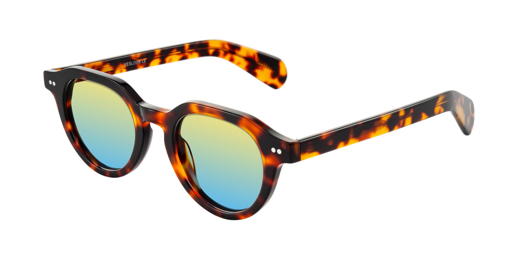 Angle of Rohamn in Tortoise with Yellow / Blue Gradient Lenses