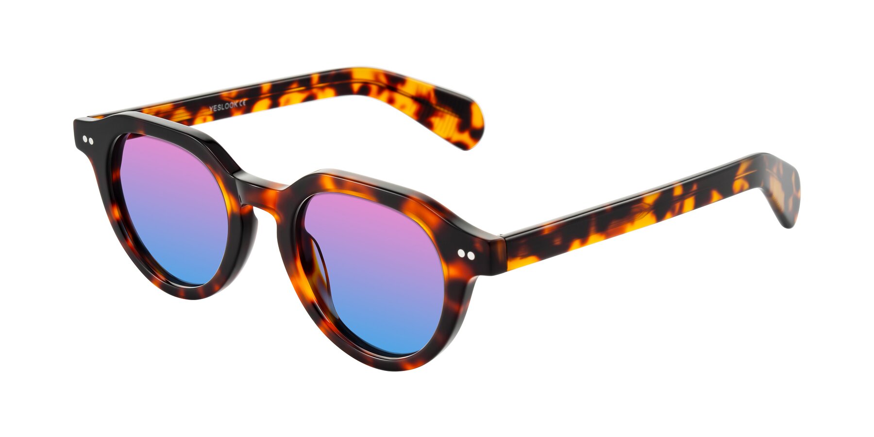 Angle of Rohamn in Tortoise with Pink / Blue Gradient Lenses