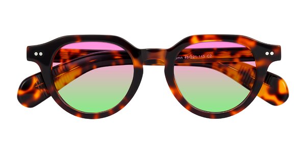 Front of Rohamn in Tortoise