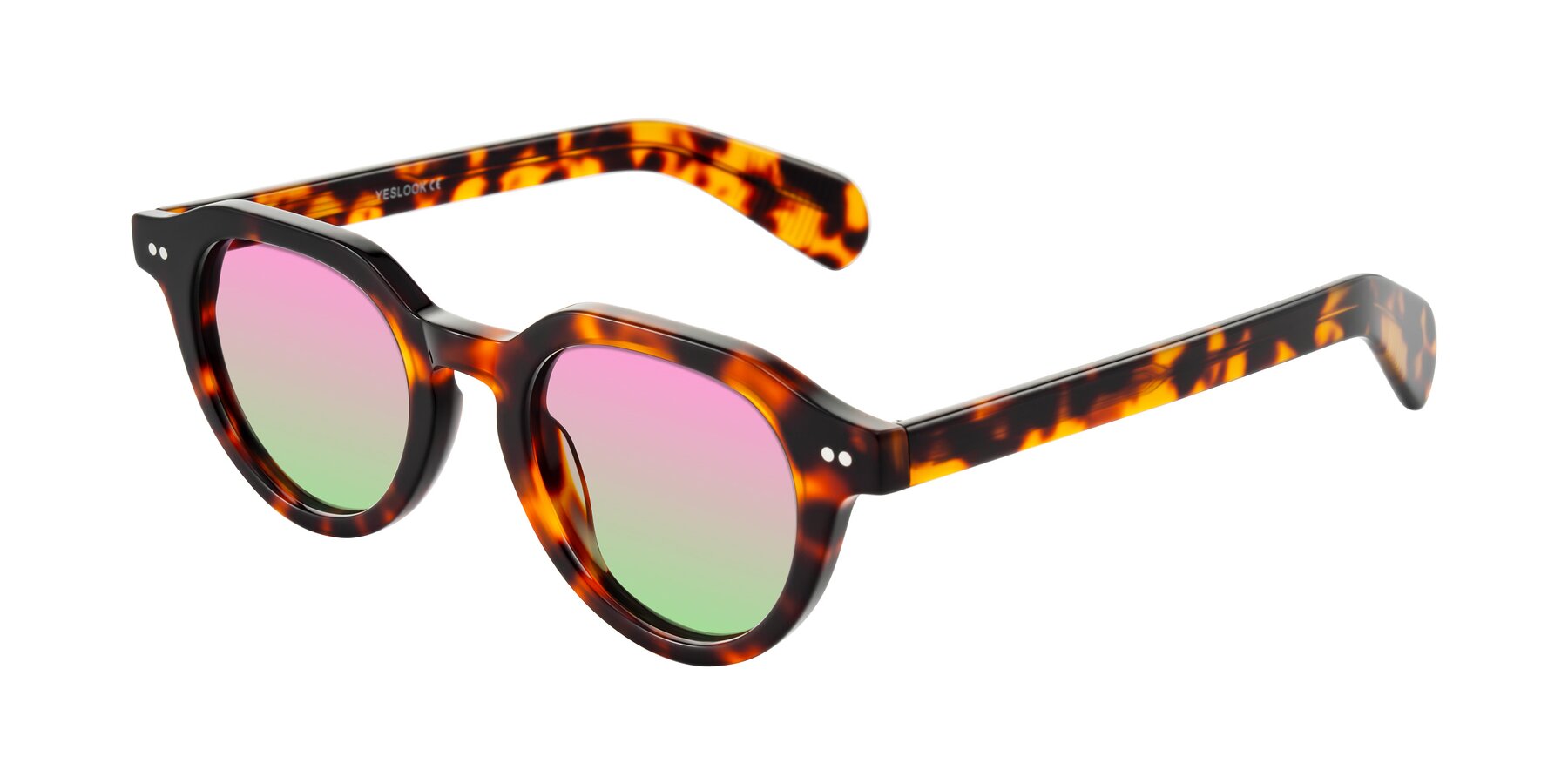 Angle of Rohamn in Tortoise with Pink / Green Gradient Lenses