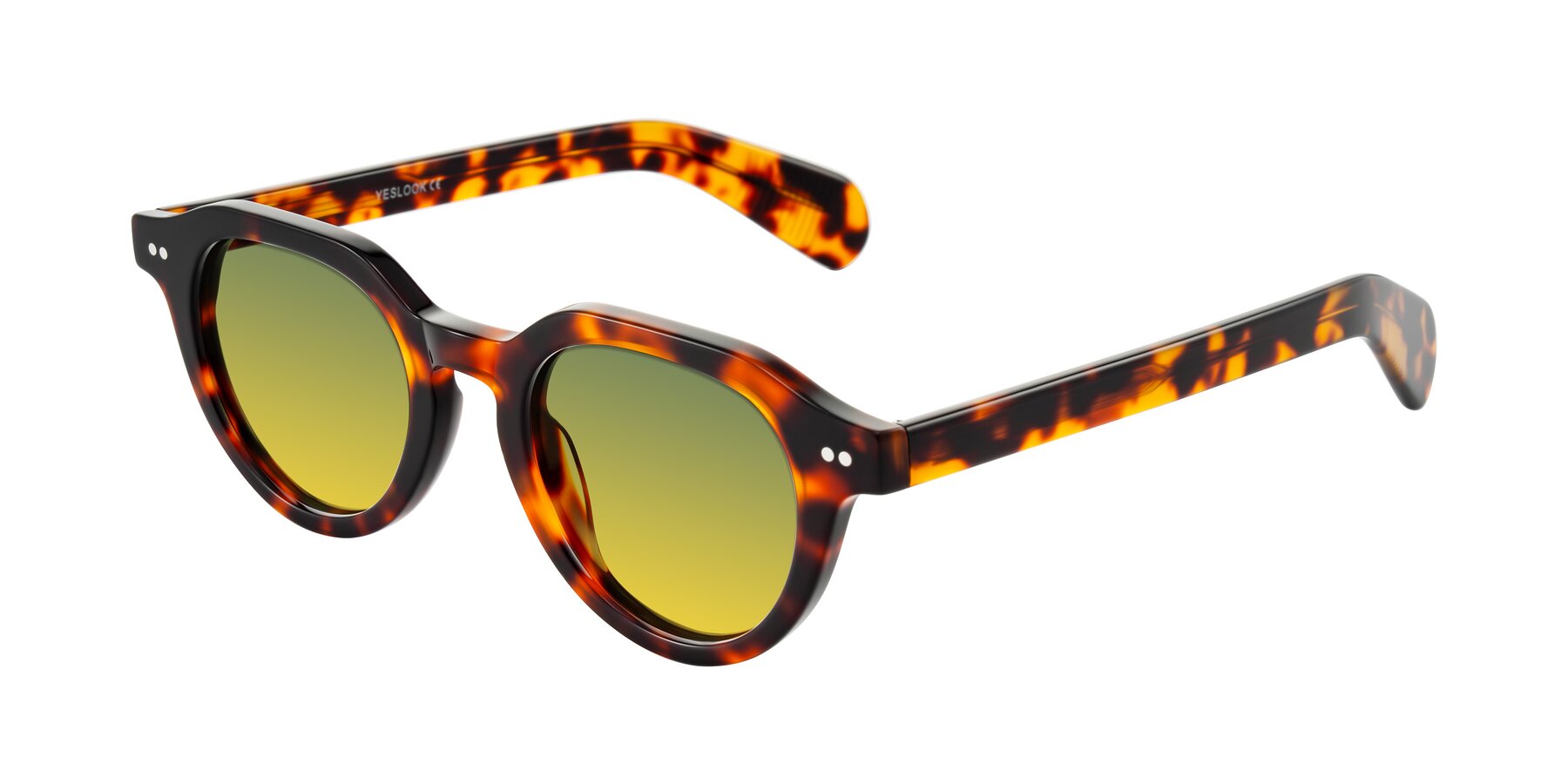 Angle of Rohamn in Tortoise with Green / Yellow Gradient Lenses