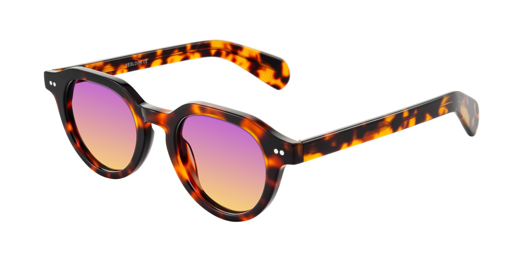 Angle of Rohamn in Tortoise with Purple / Yellow Gradient Lenses