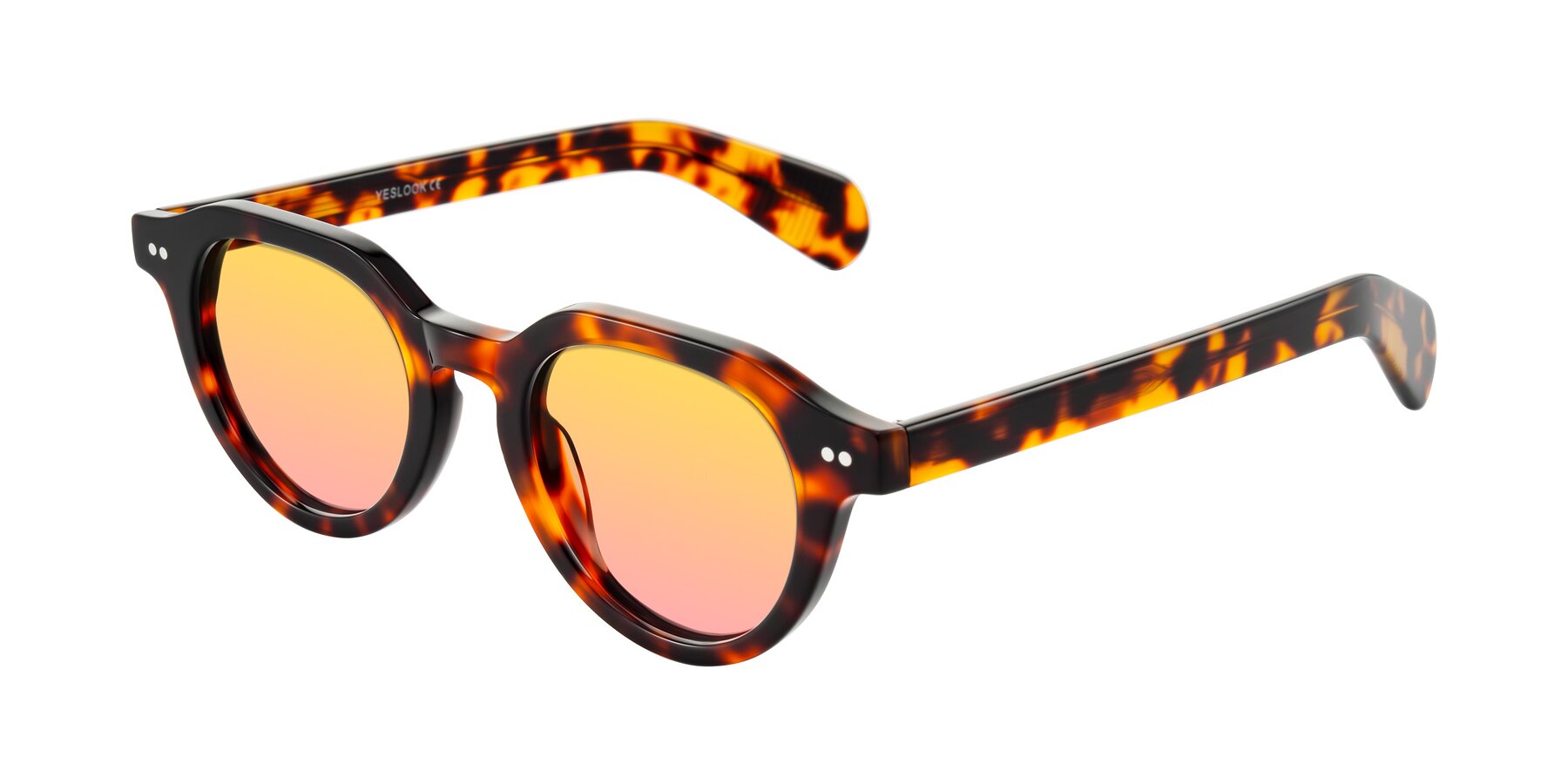 Angle of Rohamn in Tortoise with Yellow / Pink Gradient Lenses