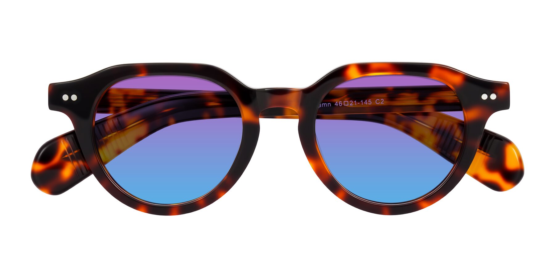 Folded Front of Rohamn in Tortoise with Purple / Blue Gradient Lenses