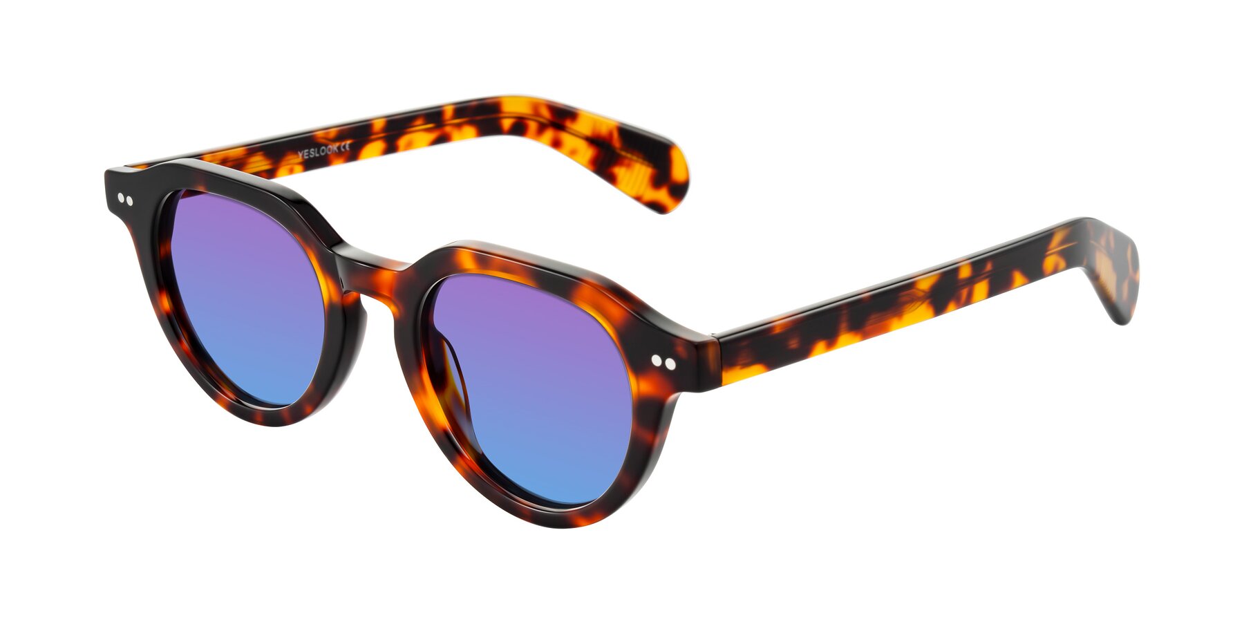 Angle of Rohamn in Tortoise with Purple / Blue Gradient Lenses