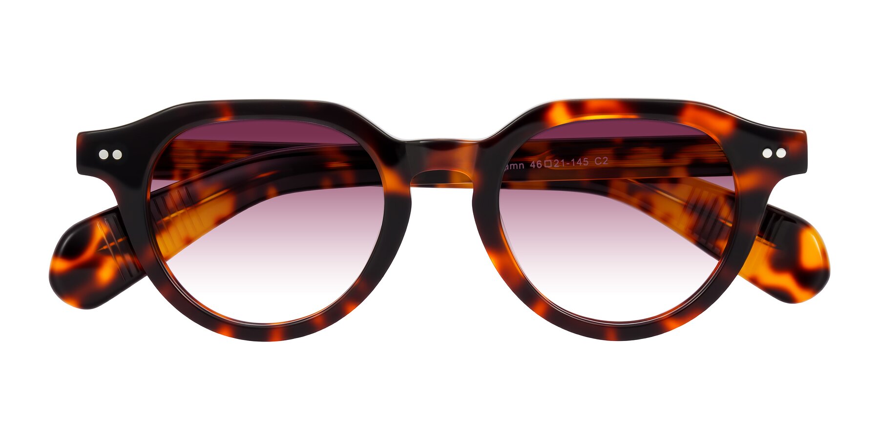 Folded Front of Rohamn in Tortoise with Wine Gradient Lenses