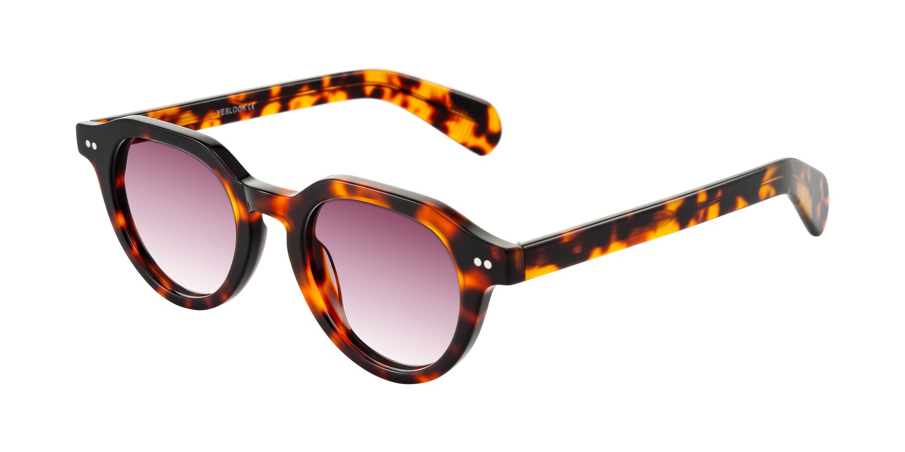 Angle of Rohamn in Tortoise with Wine Gradient Lenses
