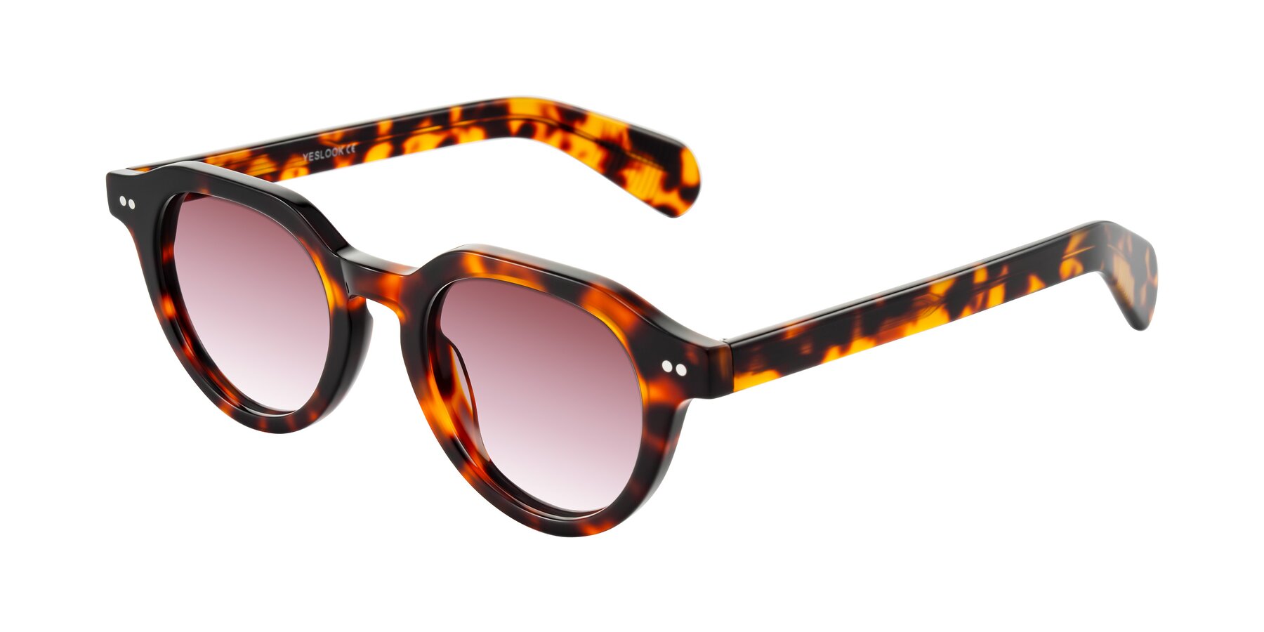 Angle of Rohamn in Tortoise with Garnet Gradient Lenses