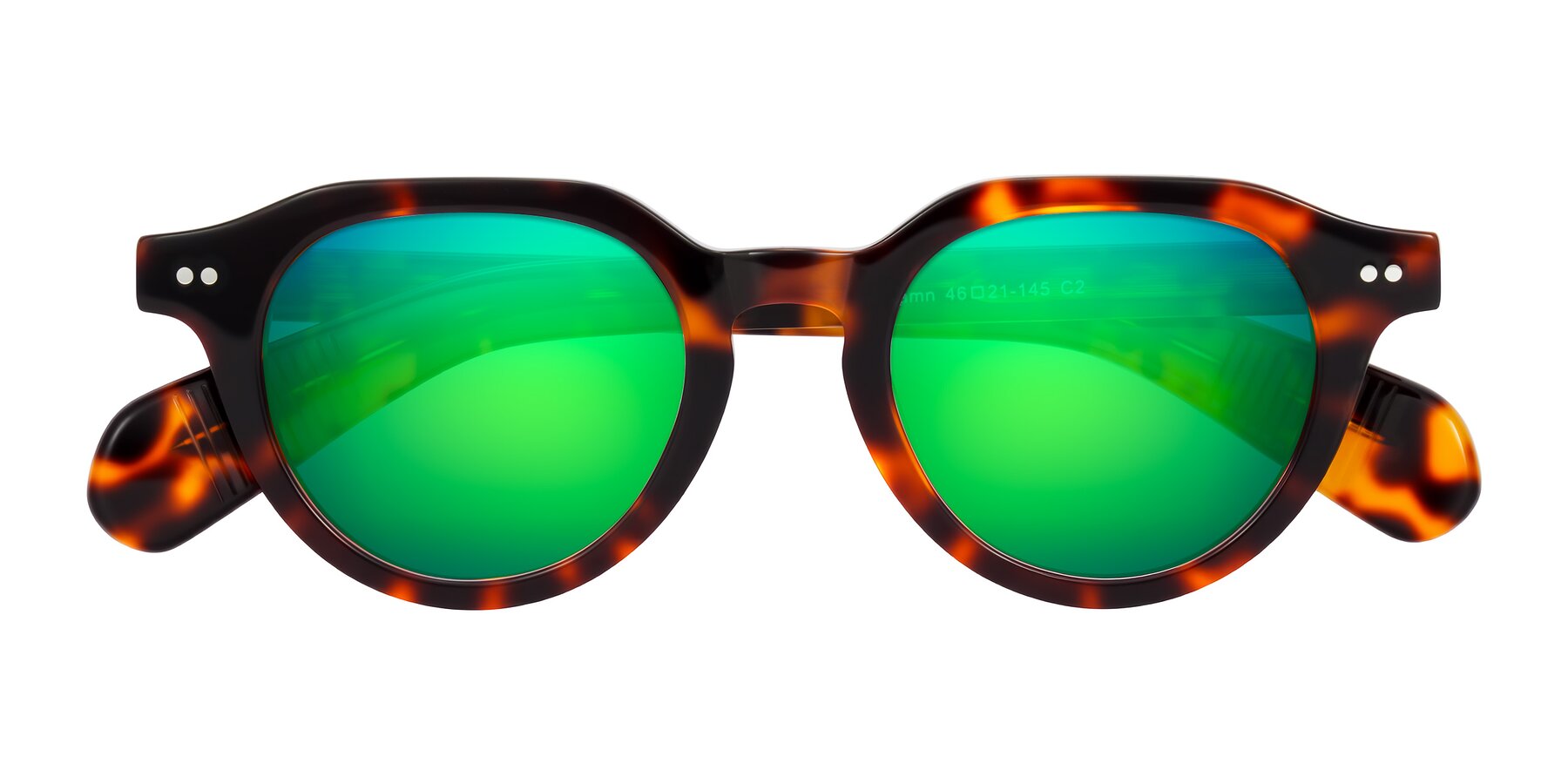 Folded Front of Rohamn in Tortoise with Green Mirrored Lenses